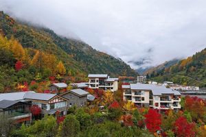 Alojamiento - Summergarden Hotel