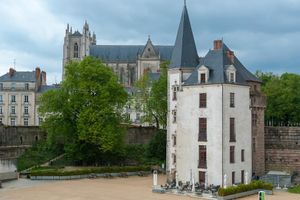 Actividad - Recorrido a pie privado por Nantes