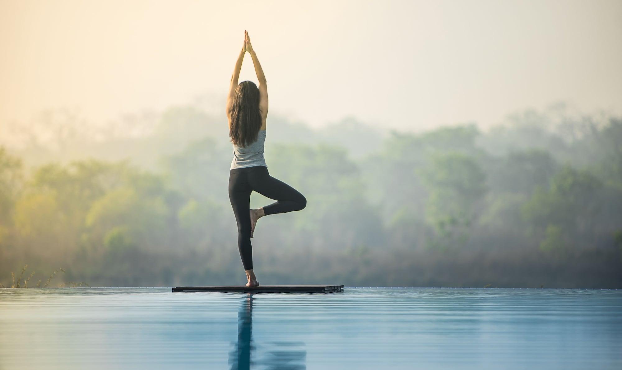 Gimnasio Meghauli Serai, A Taj Safari Lodge
