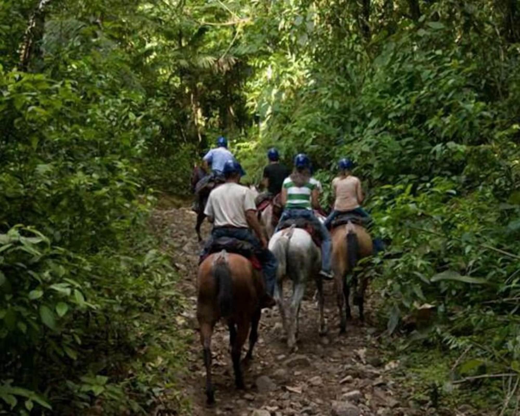 Instalaciones Recreativas Encantada Guest House: Spectacular View & Excellent Reviews