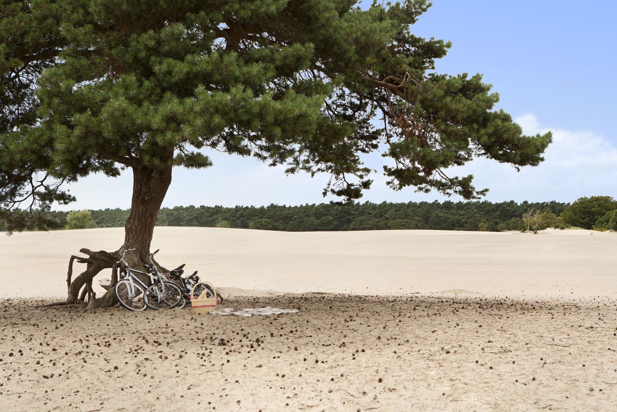 Vista Exterior DoubleTree by Hilton Royal Parc Soestduinen