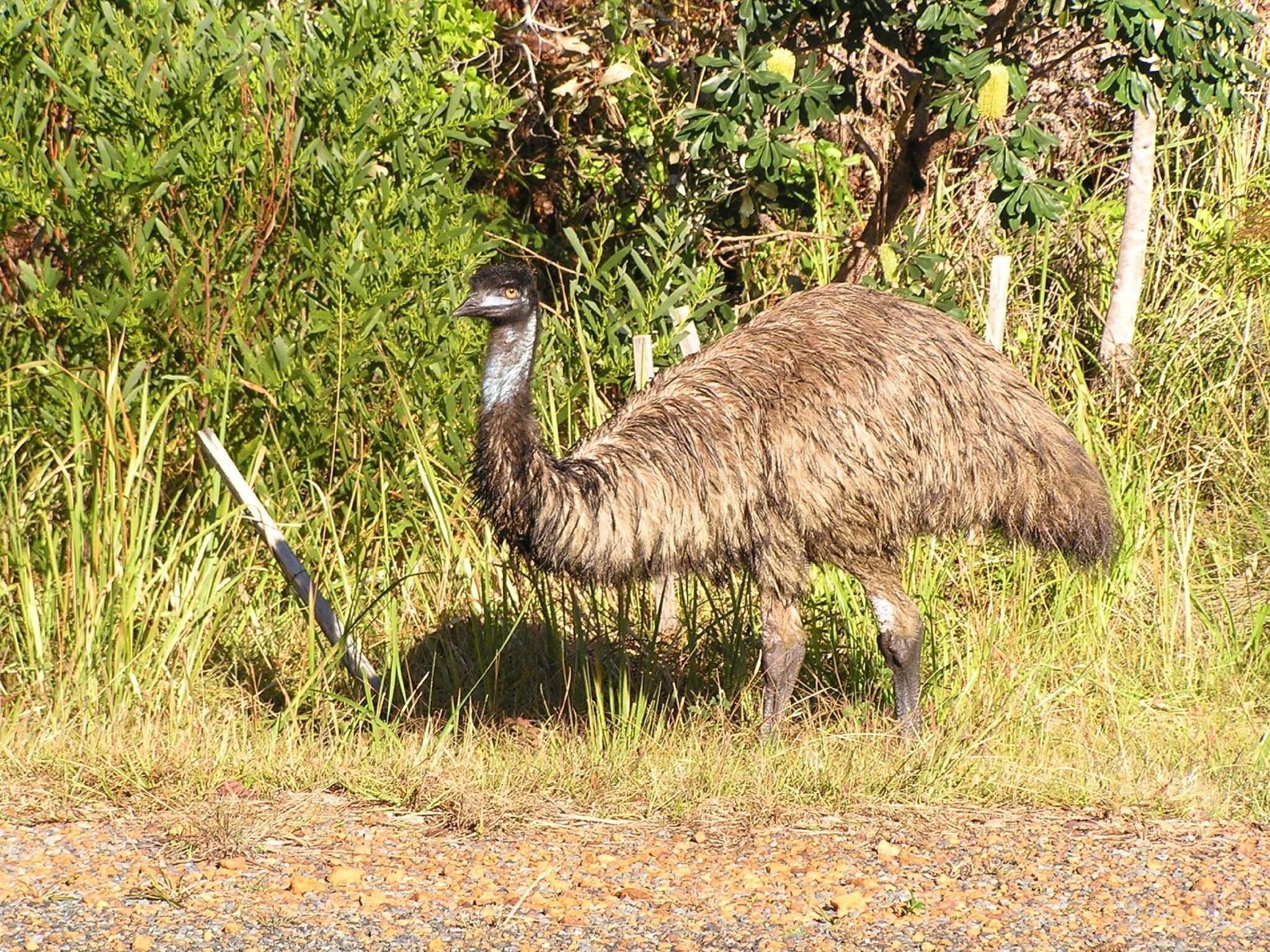 Instalaciones Recreativas Iluka Motel