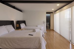 Alquiler Vacacional - El Doce Double Suite With Kitchen by Homi Rent