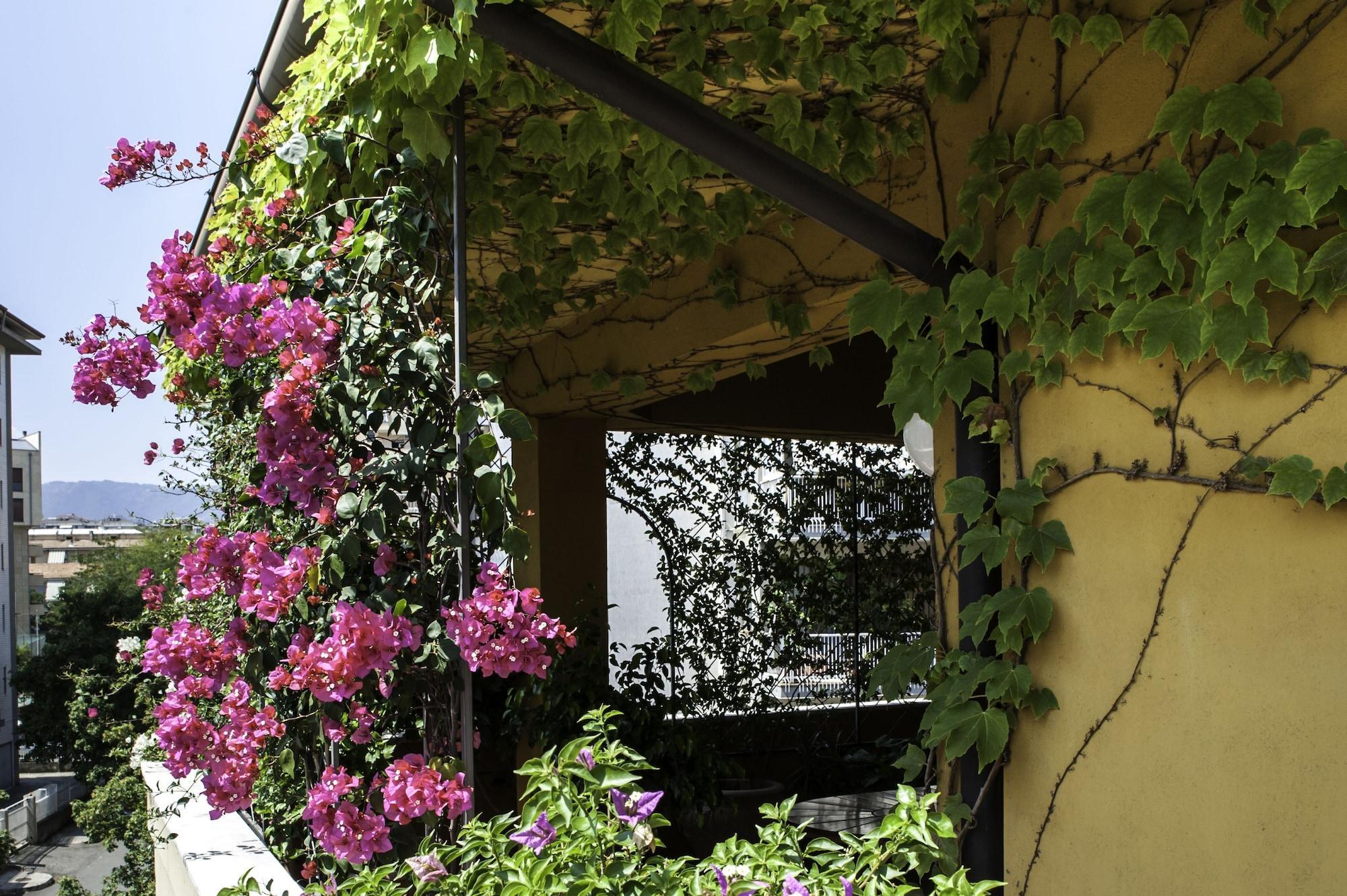 Vista Exterior B&B Tribunale