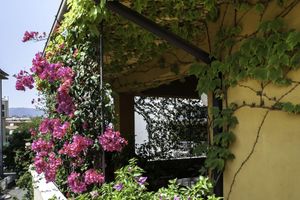 Alojamiento - B&B Tribunale