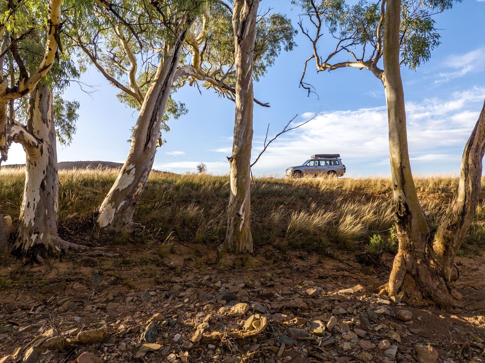 Instalaciones Recreativas Arkaba Homestead