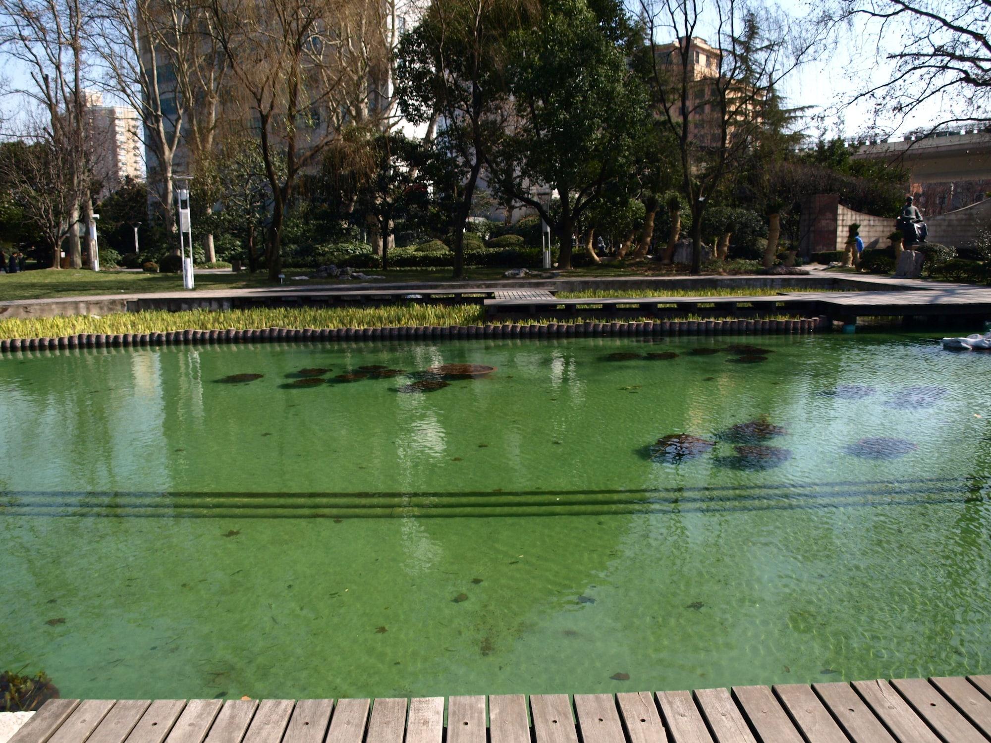 Vista Exterior World Union Service Apartment Cosmo