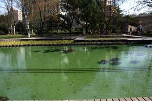 Alojamiento - World Union Service Apartment Cosmo