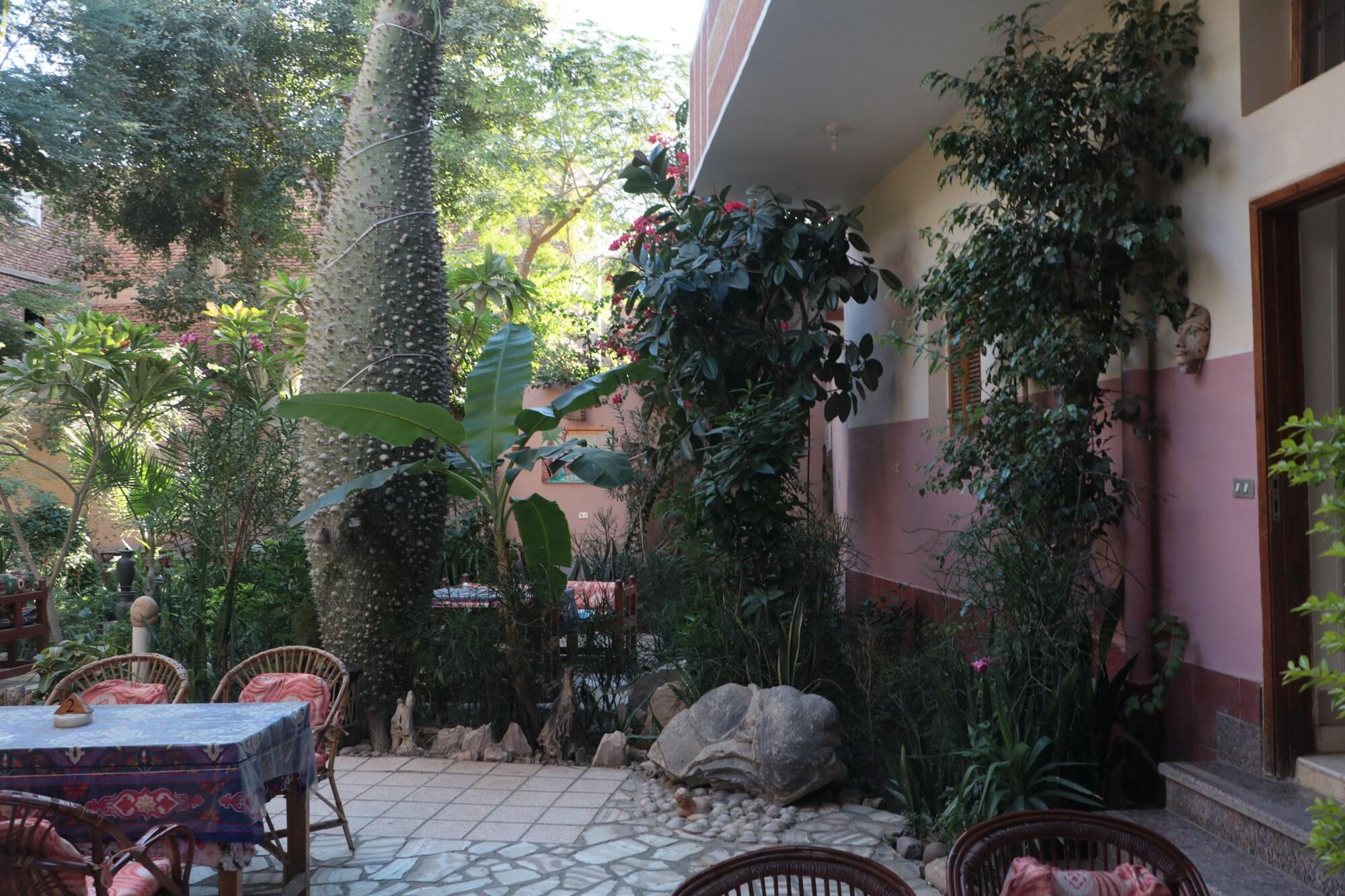 Restaurant Amon Hotel