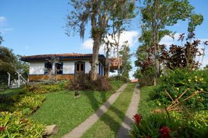 Alojamiento - FINCA HOTEL LOS GIRASOLES