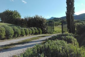Alojamiento - Le Perelle Agriturismo
