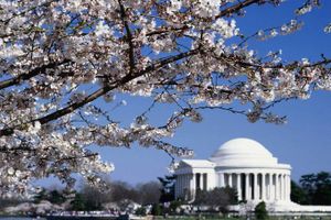 Vuelo - Vuelos a Washington