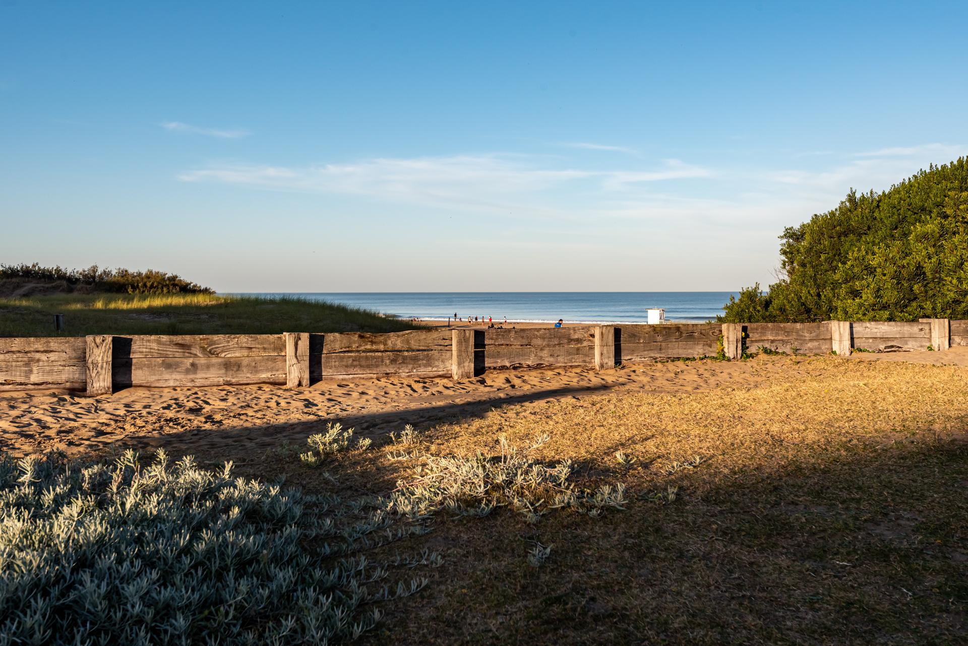 Playa Cariló Forest