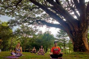 Alojamiento - The Piano Resort