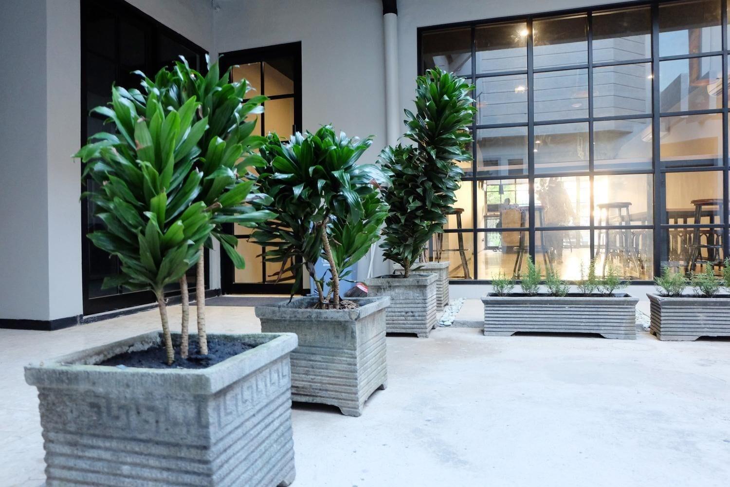 Vista Exterior Livinn Hostel City Center Surabaya