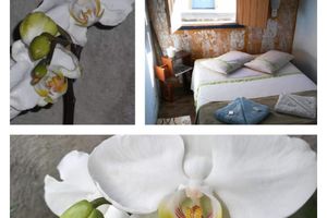 Alquiler Vacacional - Marília de Dirceu residence with suite - 700 meters from Tiradentes Square