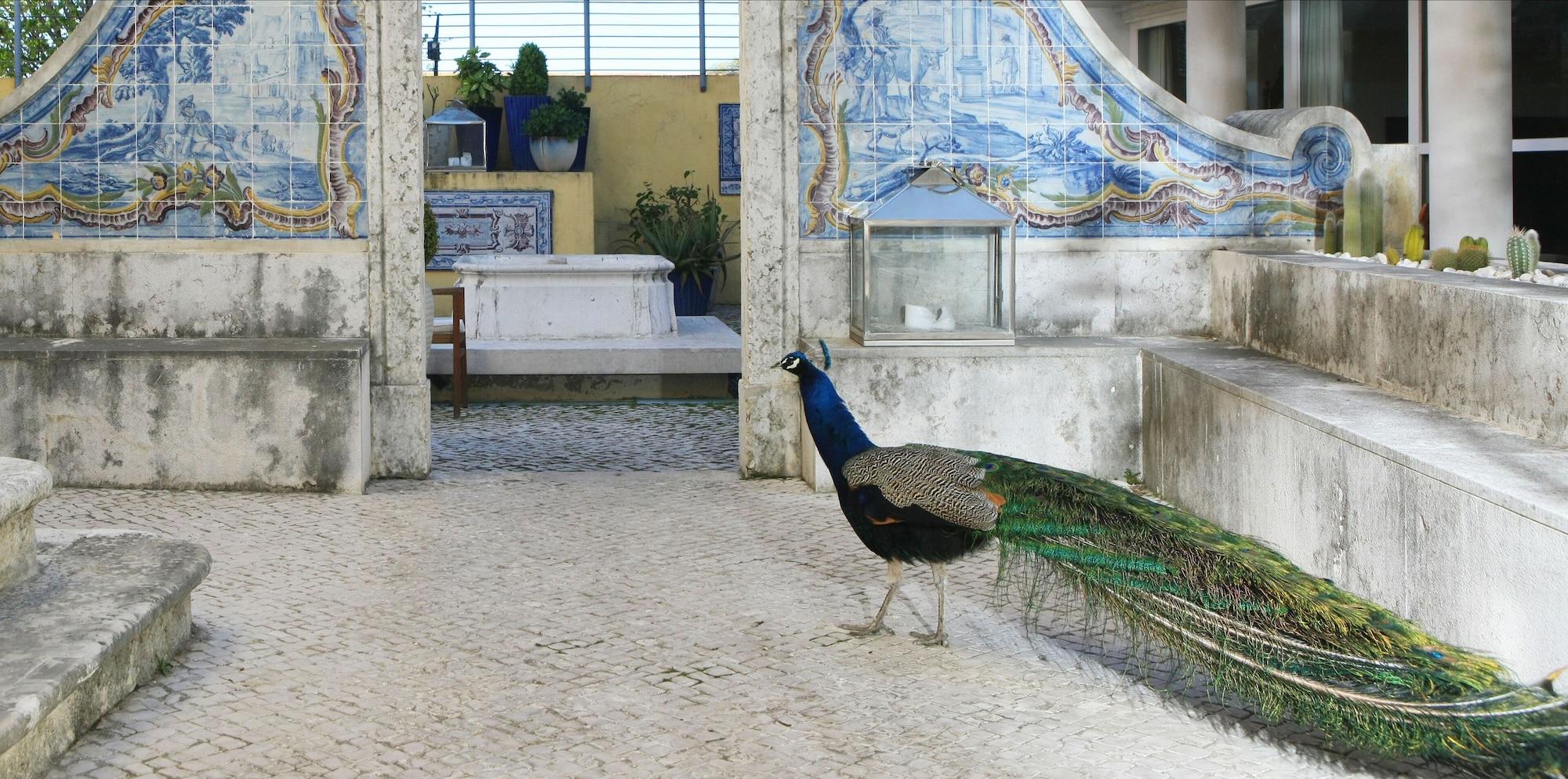 Vista Exterior Solar Do Castelo, a Lisbon Heritage Collection