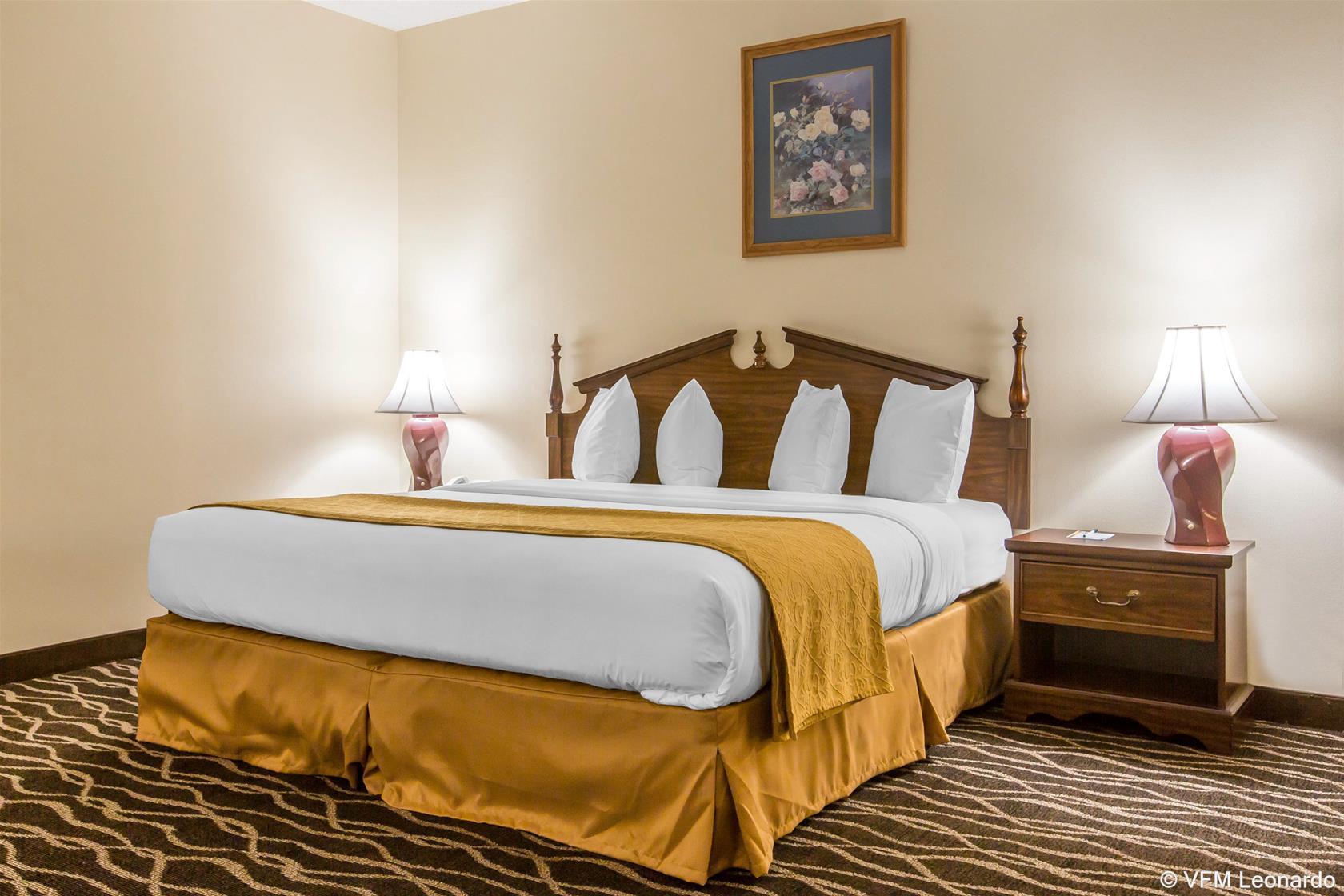 Vista Exterior Quality Inn Schenectady - Albany