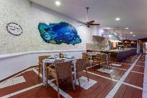 Alojamiento - COZUMEL HOTEL AND RESORT TRADEMARK COLLECTION BY WYNDHAM