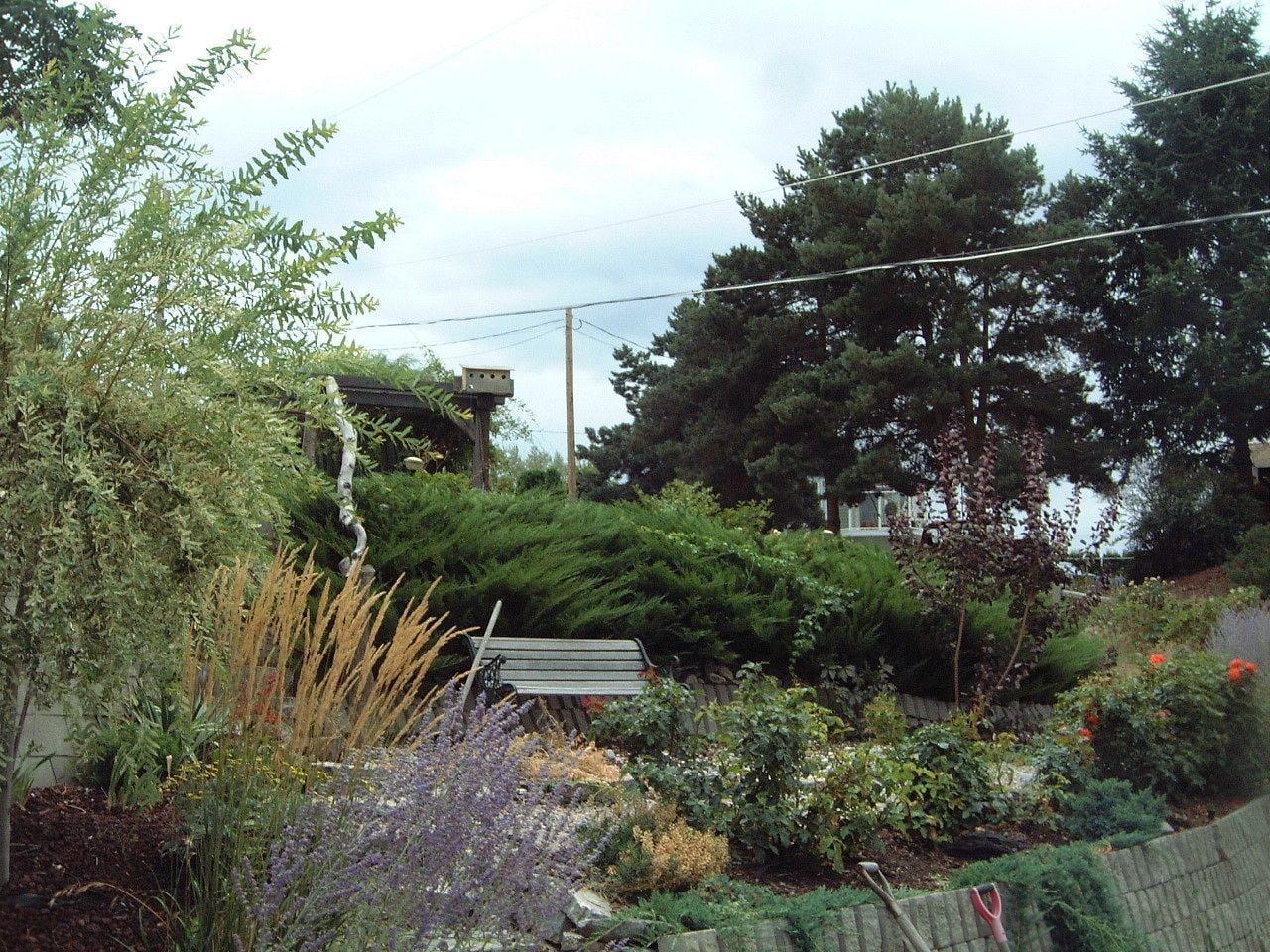 Comodidades del Alojamiento Above The Beach Guest Suites