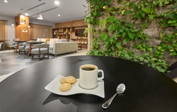 City Express Plus by Marriott GDL Providencia - Hoteles cerca de La Minerva en Guadalajara