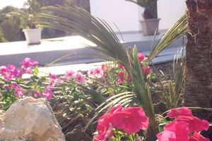 Alojamiento - B&B Sorahnia Design House