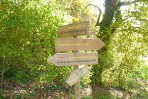 Alquiler Vacacional - authentic rural house of Perigord, charm, calm and comfort 4 *