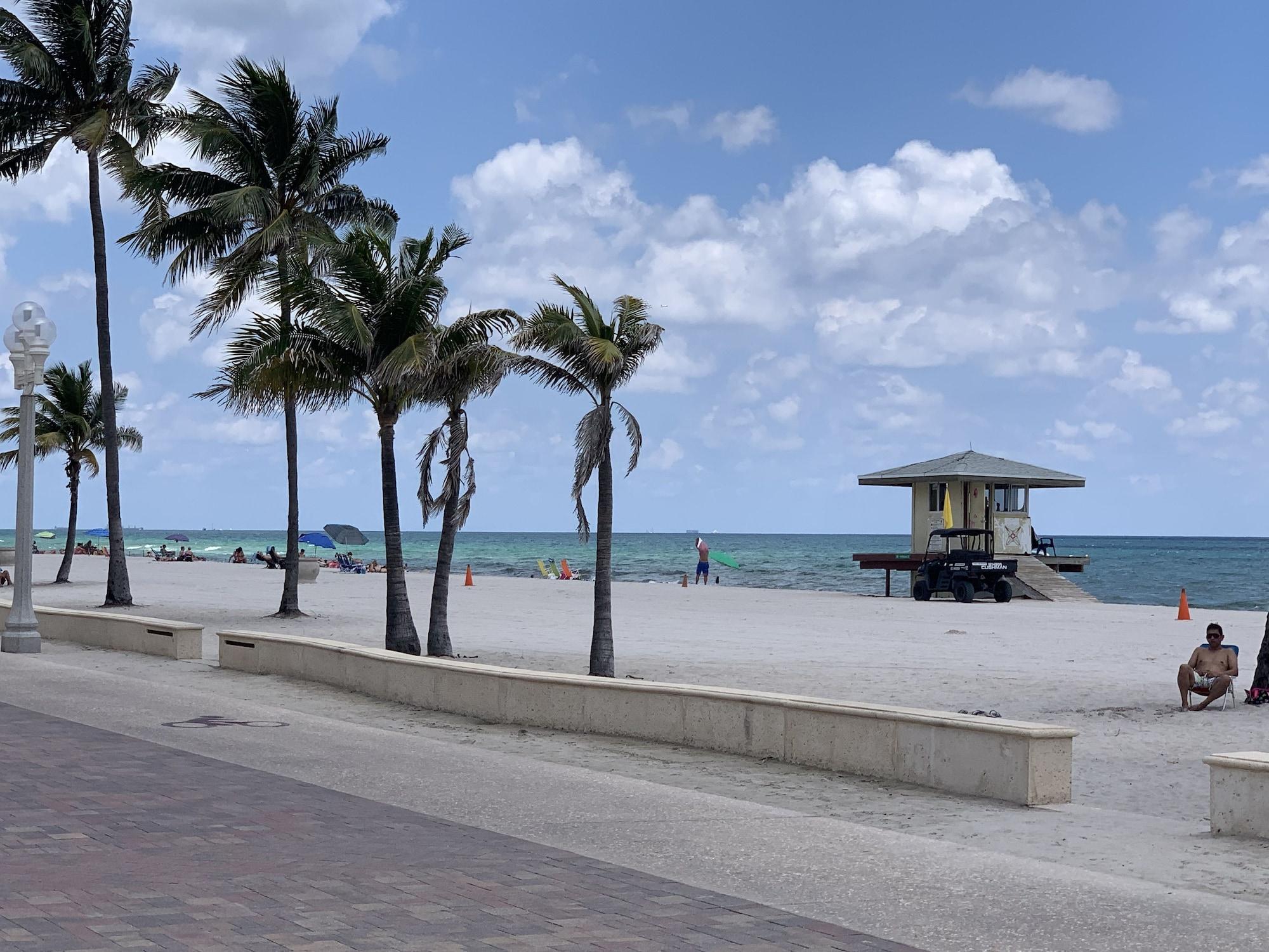 Vista Exterior Hollywood Beach Seagull
