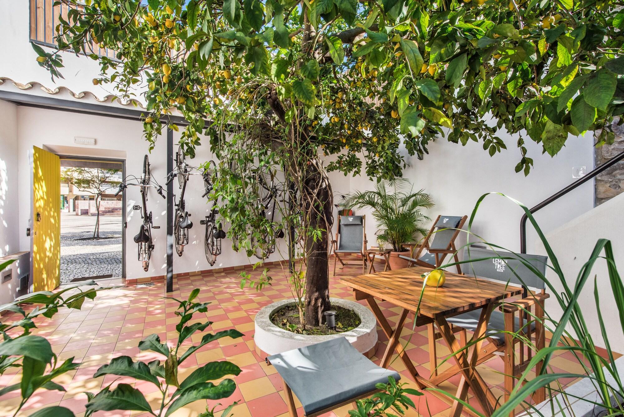 Varios Lemon Tree Stay