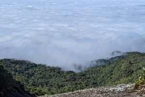 Actividad - Senderismo por Pedra Redonda