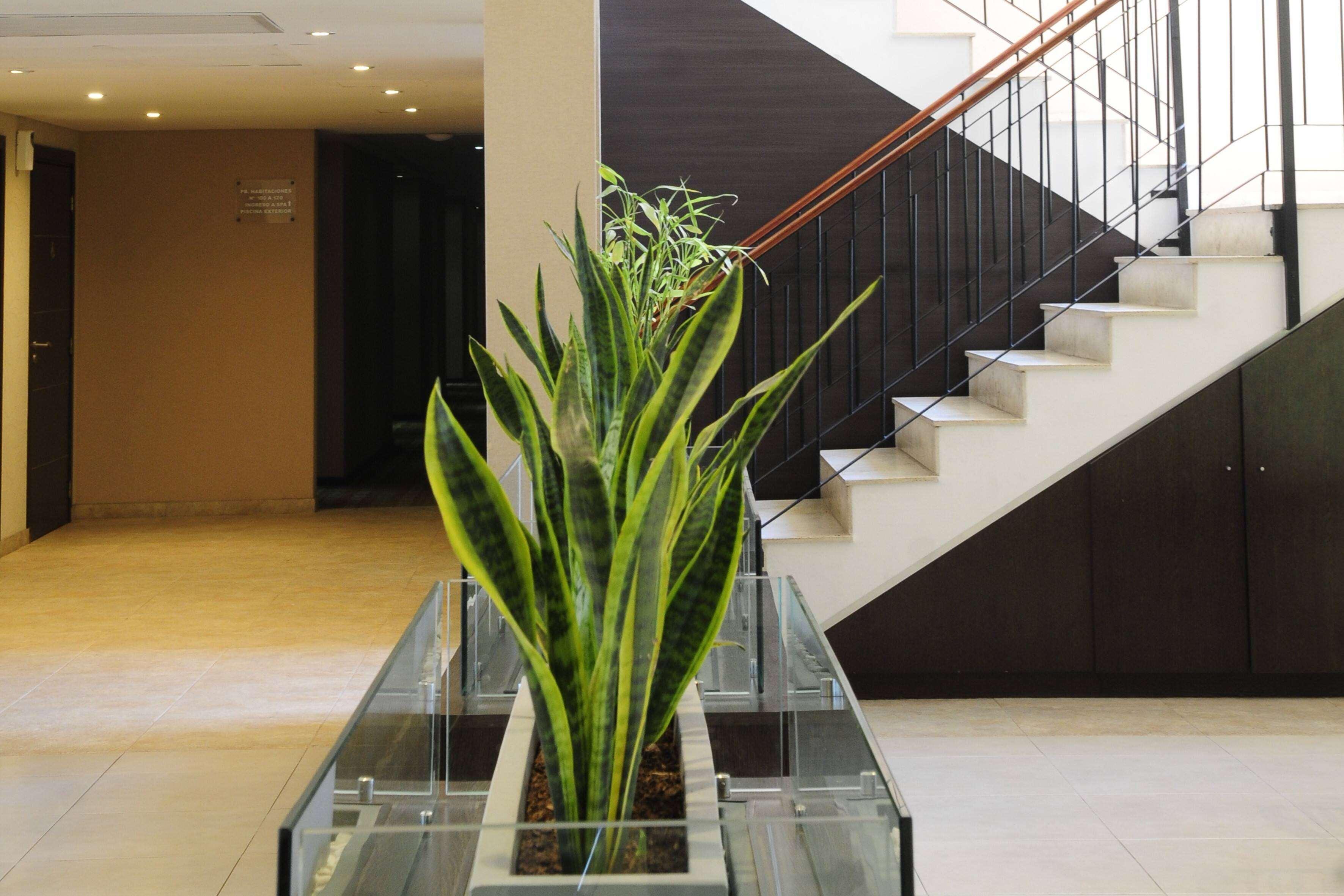 Vista Lobby Howard Johnson By Wyndham Funes