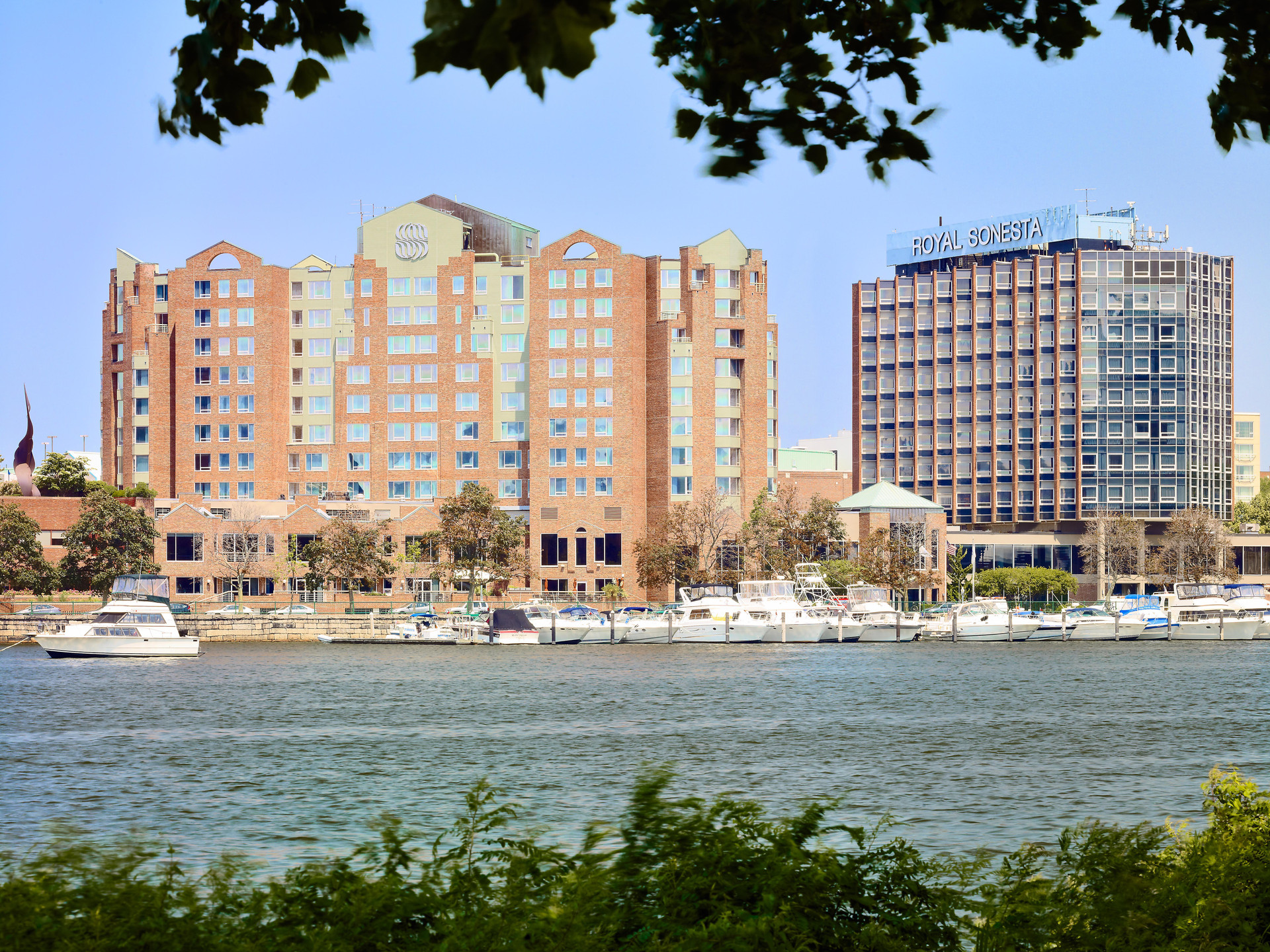 Vista Exterior The Royal Sonesta Boston