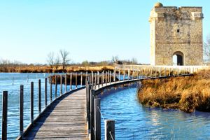 Activity - Aigues-Mortes + Carbonnière Tower Day Trip