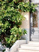 Alojamiento - Hôtel Lemon