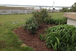Alquiler Vacacional - Cottage on a Private Island in the York River