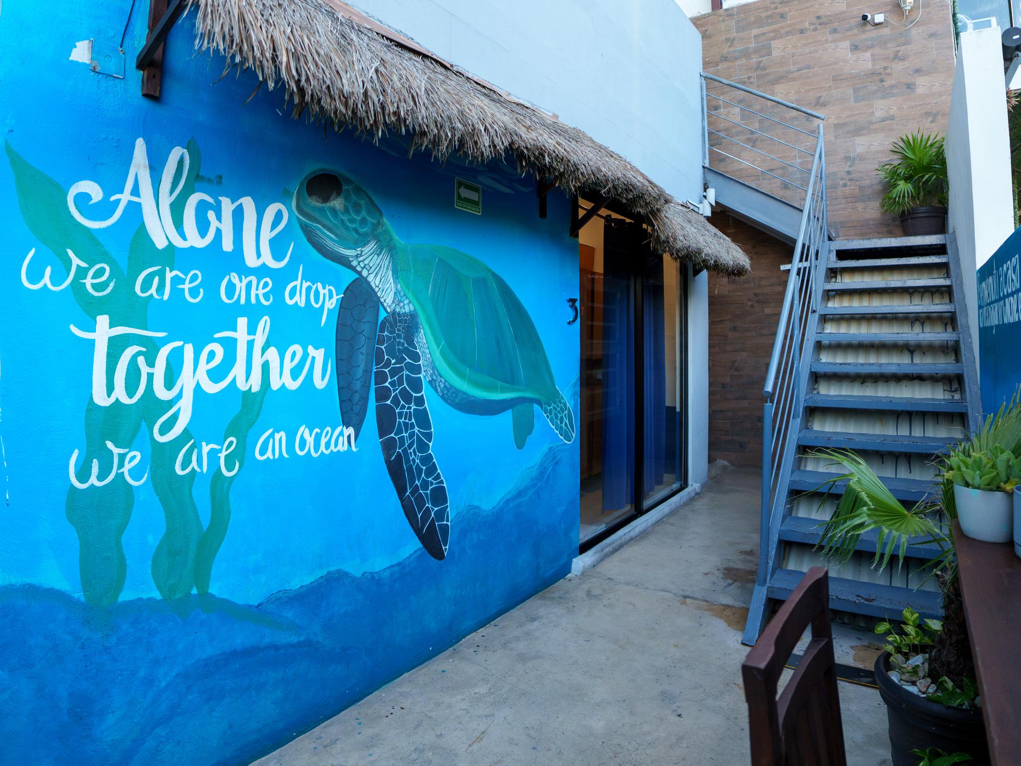 Vista Exterior Maui Hostels Playa Del Carmen
