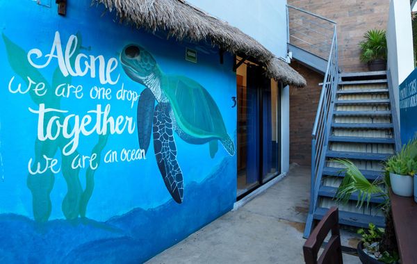 Maui Hostels Playa Del Carmen - Hoteles cerca de Parque Xcaret, México en Playa del Carmen