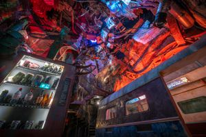 Actividad - Despierta al tigre: una experiencia artística inmersiva