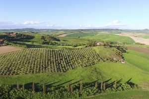 Actividad - Experiencia auténtica en Chianti por la mañana - dos degustaciónes de vinos y productos típicos