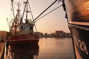 Alojamiento - Best Western Plus Theodor Storm Hotel