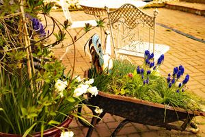 Alojamiento - Norfolk Accommodation - mYminiBreak