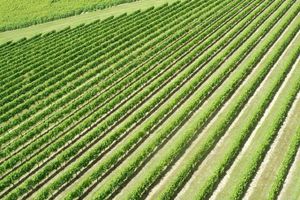 Alojamiento - Domaine Du Grand Tourtre