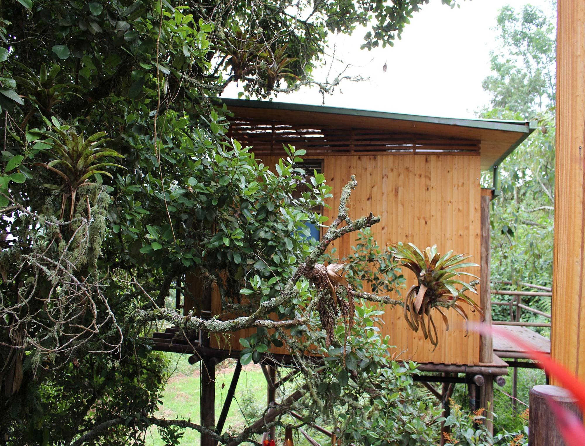 Vista Exterior Entre Palos Eco Refugio