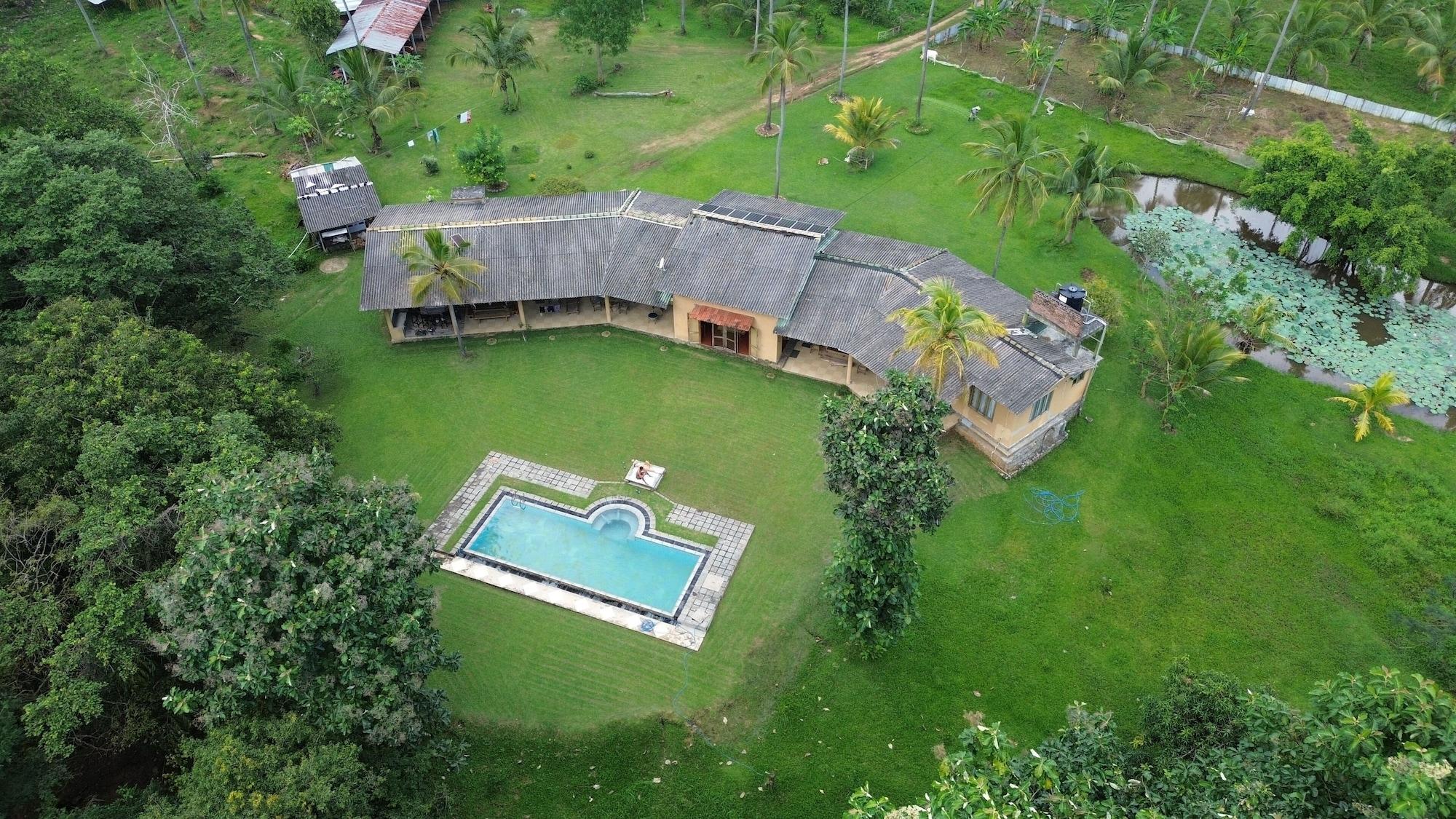 Varios Rivendell Twisted Tree