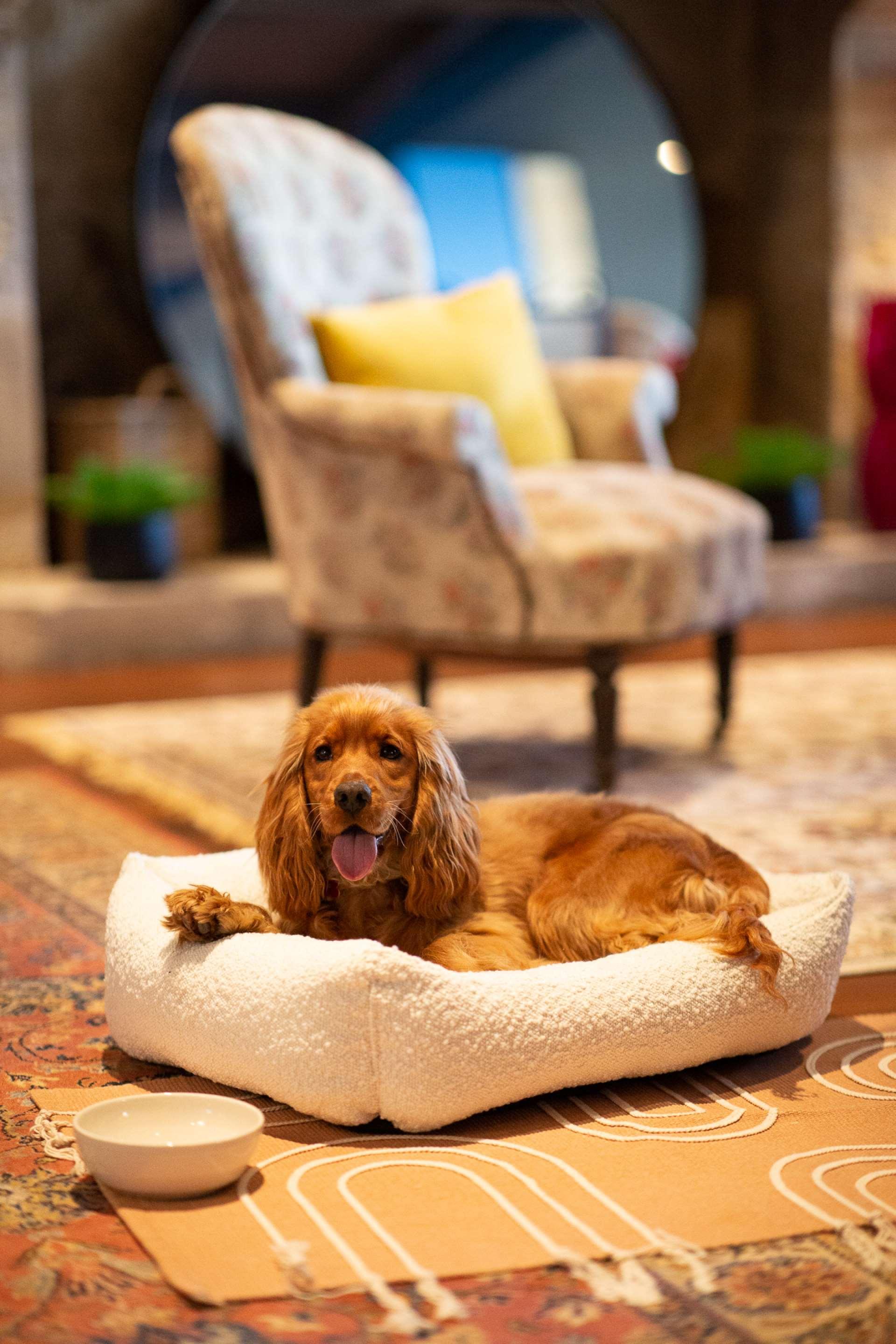 Vista Exterior Hôtel & SPA Le Chêne Vert