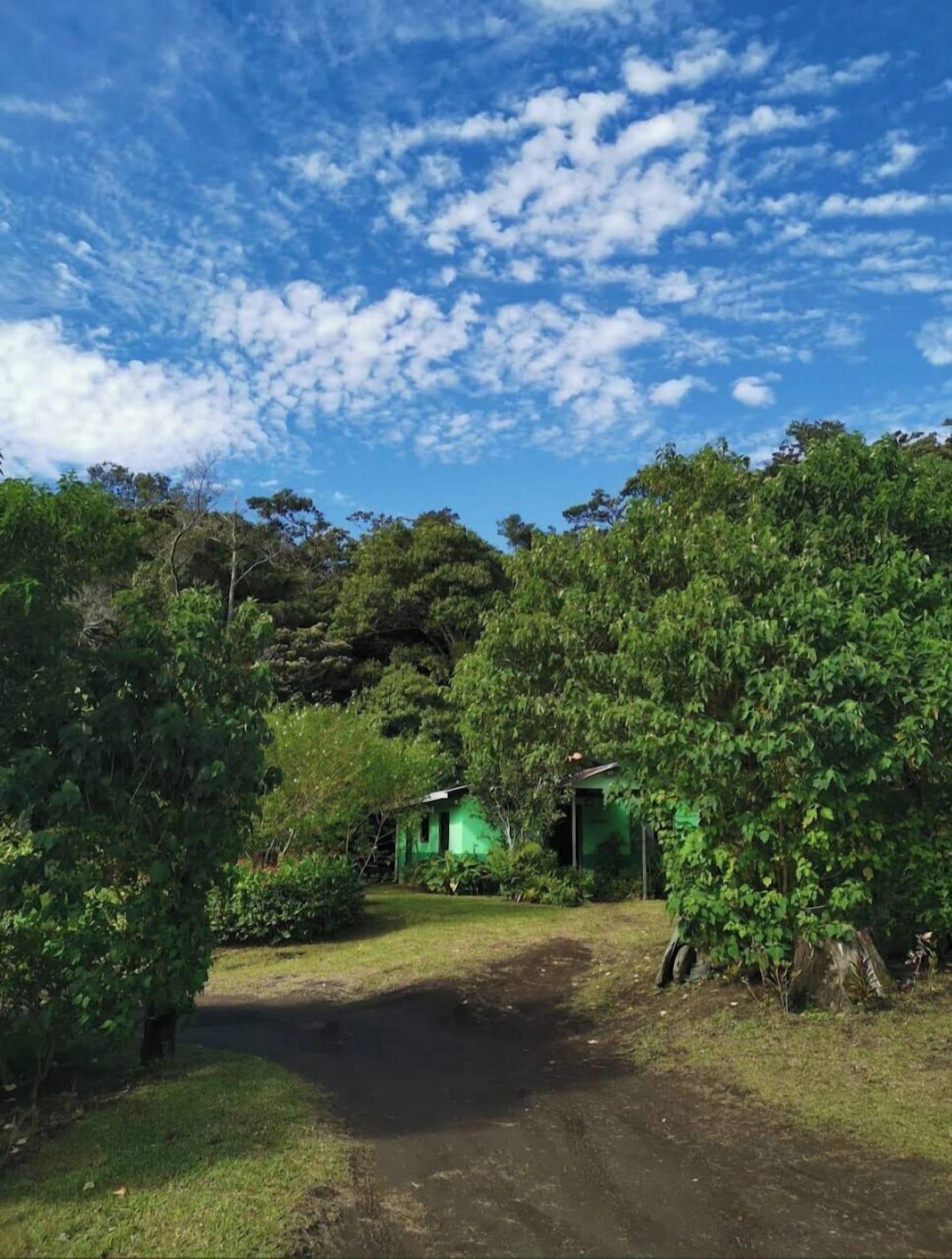 Restaurant The Green Tree Lodge