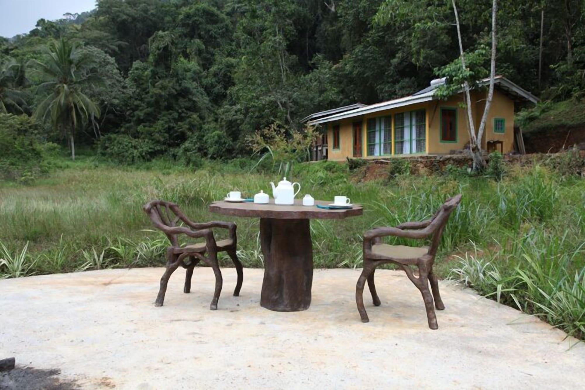 Varios Sinharaja Forest Edge