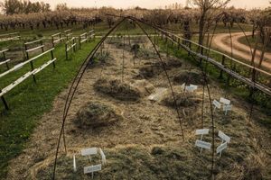 Alquiler Vacacional - Tenuta Santa Lucia