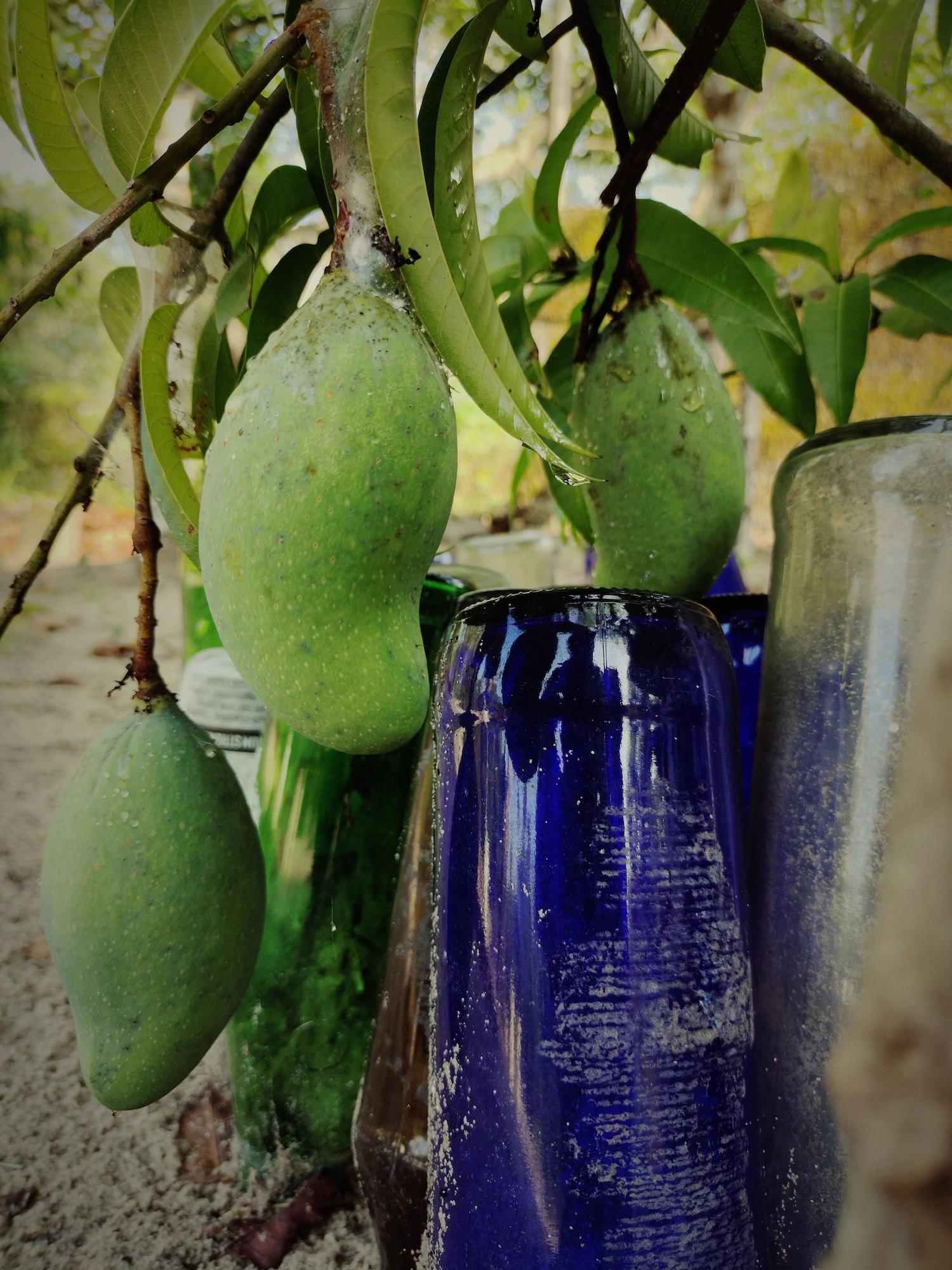 Vista Exterior Achayans Homestay