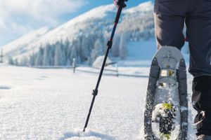 Actividad - Paseo con raquetas de nieve